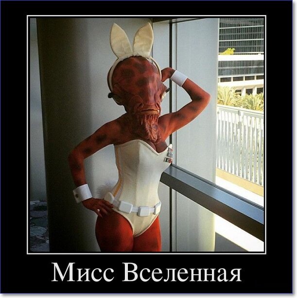 Новые демотиваторы 2019 года