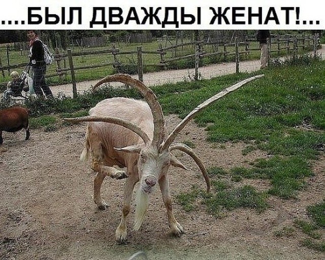 Подборка разных прикольных картинок (20 фото)