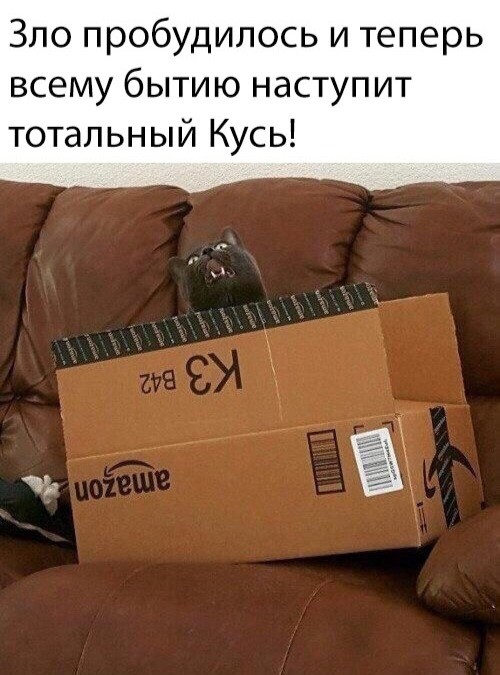 Новые мемы и скриншоты из социальных сетей (35 фото)