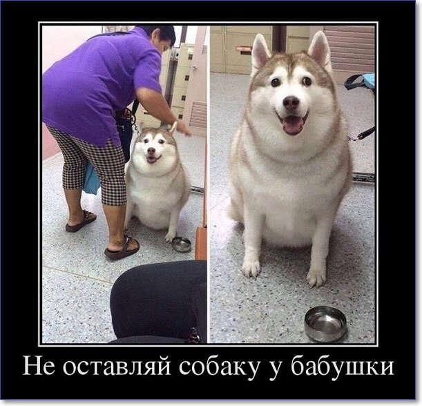 Новые демотиваторы 2019 года