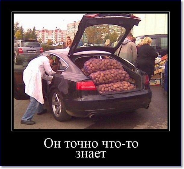 Злобные демотиваторы