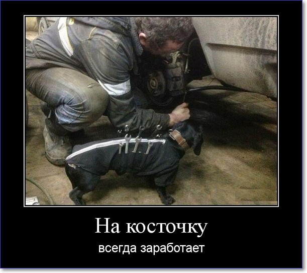 Прикольные демотиваторы Прикольные демотиваторы