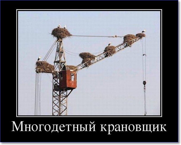 Новые демотиваторы 2019 года