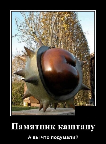 Свежие демотиваторы 2019 года из соцсети ВК