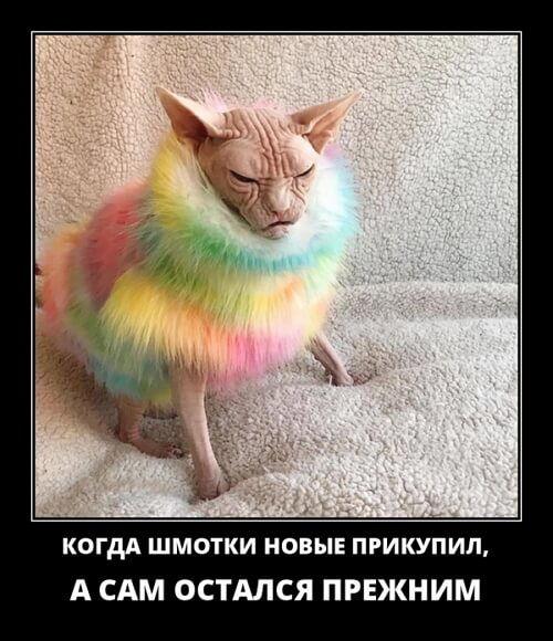 Популярные демотиваторы