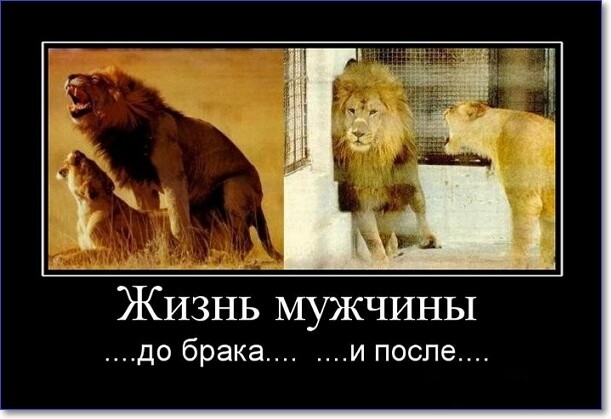 Прикольные демотиваторы Прикольные демотиваторы