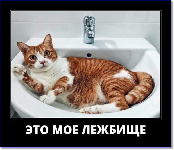 Злобные демотиваторы