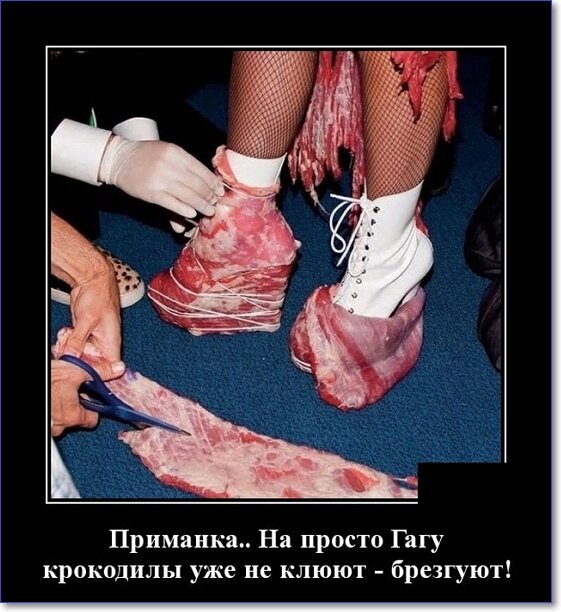 Кайфологовые демотиваторы