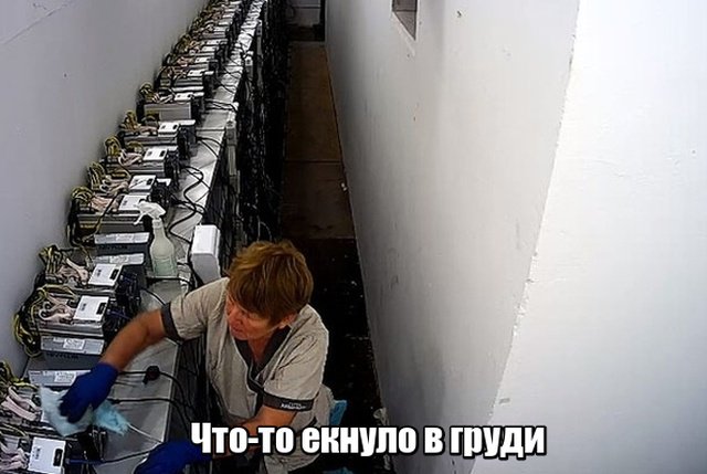 Подборка прикольных фотографий (86 фото)