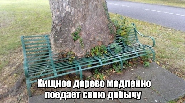 Подборка разных прикольных картинок (20 фото)