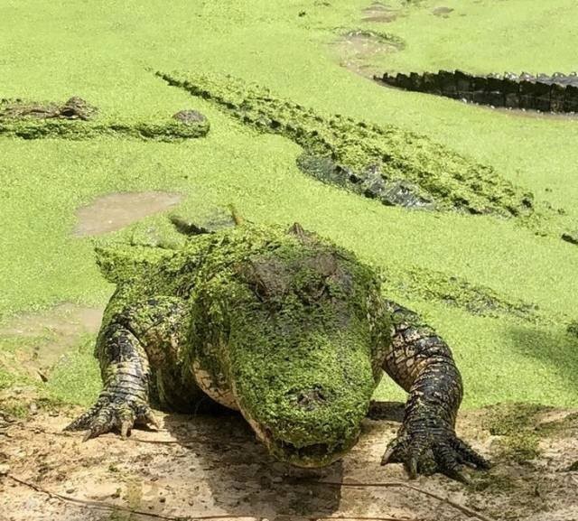 Подборка прикольных фотографий (86 фото)