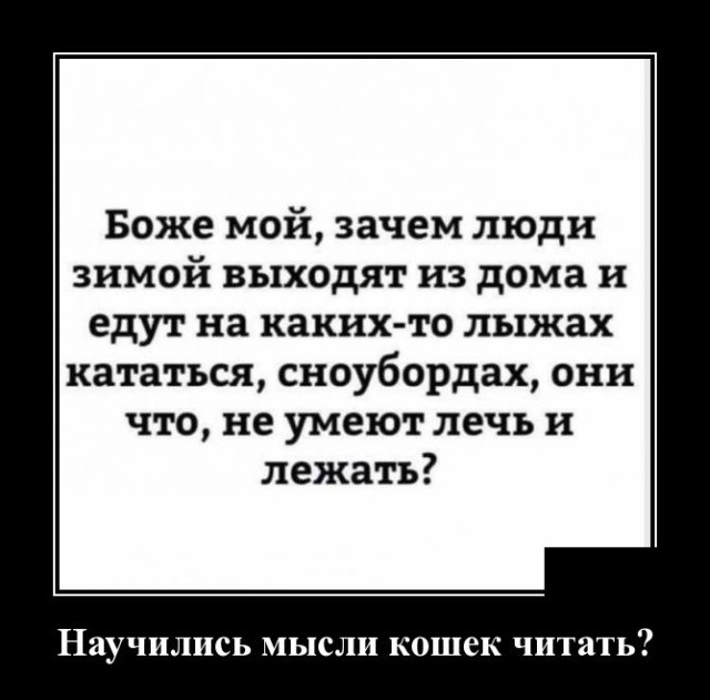 Демотиваторы 2019 года Демотиваторы 2019 года