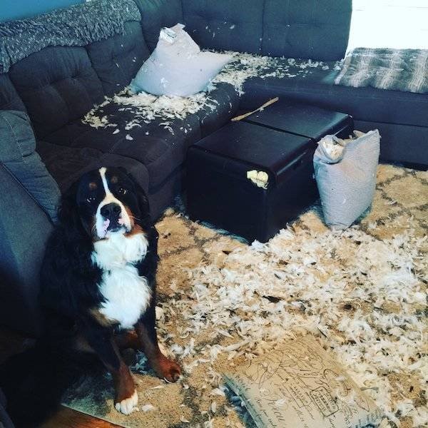 Подборка прикольных фотографий (86 фото)