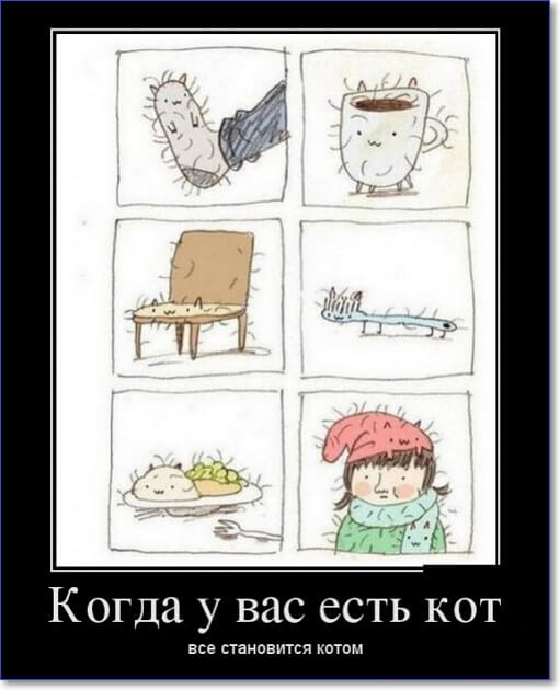 Злобные демотиваторы