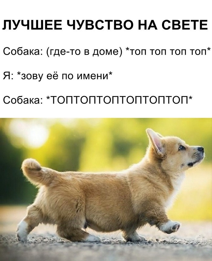 Скриншоты апрельского юмора из социальных сетей (35 фото)