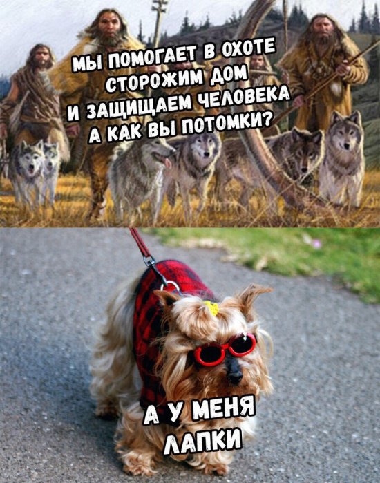 Подборка прикольных фотографий (86 фото)