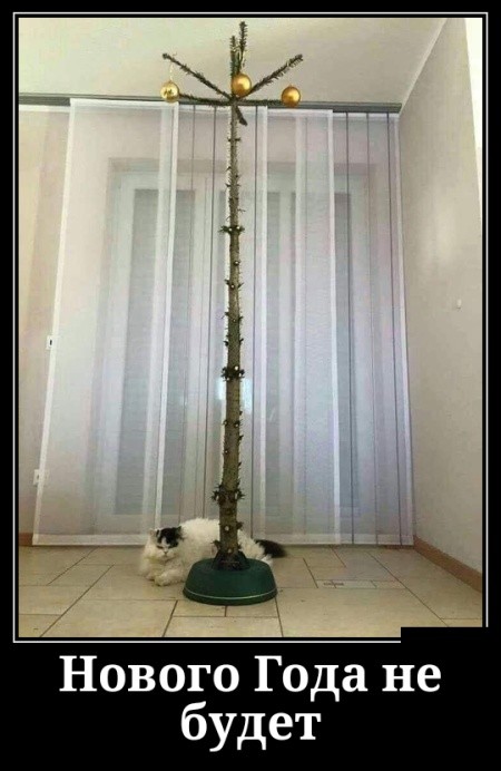 Демотиваторы 2019 года Демотиваторы 2019 года