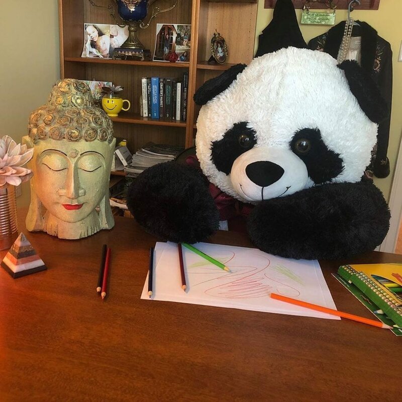 Эта панда была выброшена в мусорку, но неравнодушные люди спасли её (11 фото)