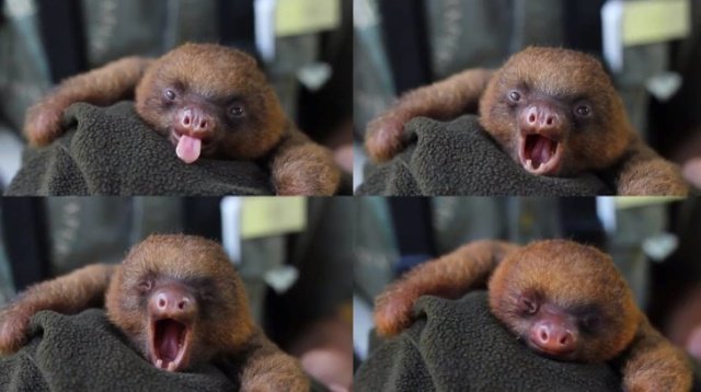 Подборка прикольных фотографий (86 фото)