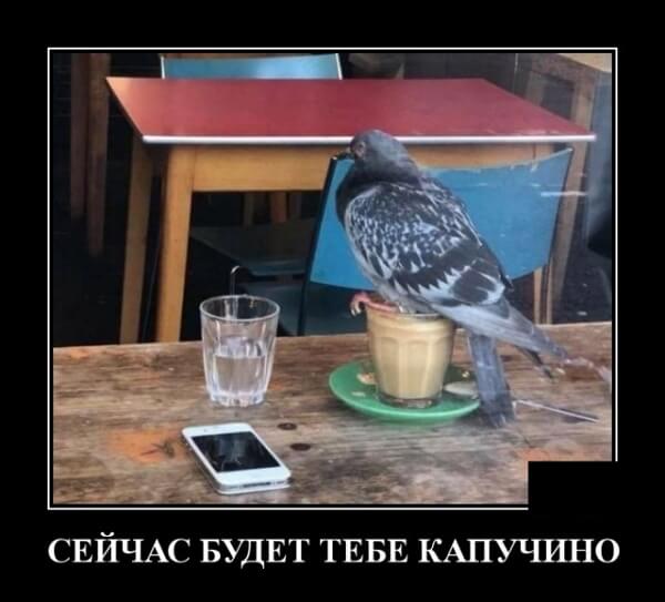 Фото русский демотиватор