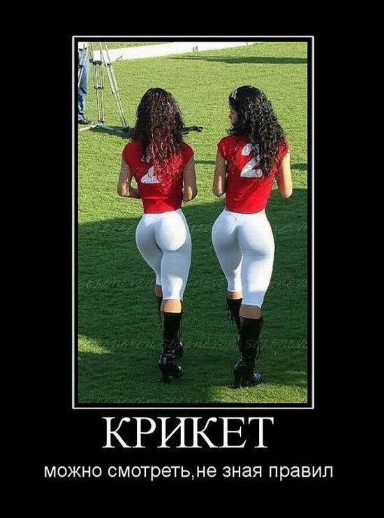 Пошлые демотиваторы про девушек Пошлые демотиваторы про девушек