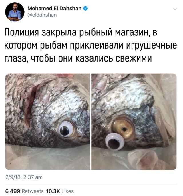 Подборка фотоприколов. Часть 4 ( 30 фото)