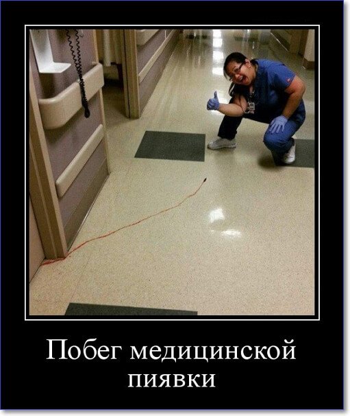 Забавные и очень смешные демотиваторы про девушек и не только