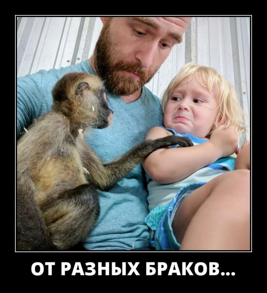 Фото русский демотиватор