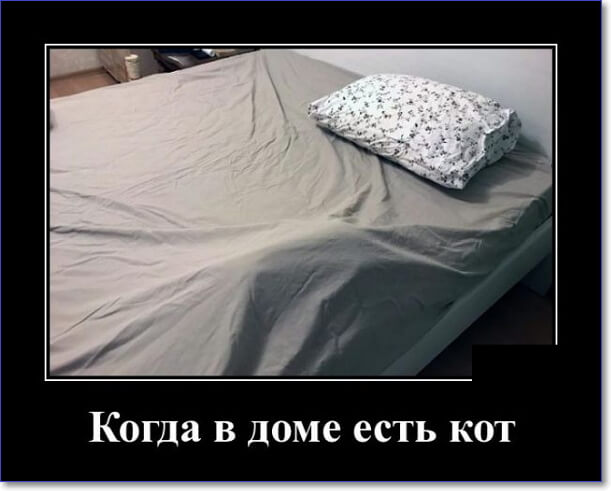 Забавные и очень смешные демотиваторы про девушек и не только