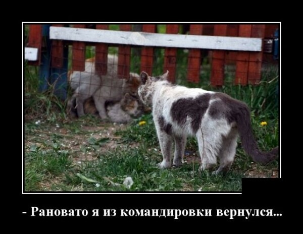 Свежие демотиваторы 2019 года из соцсети ВК