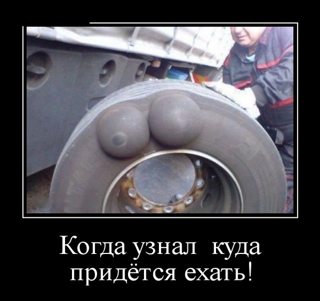 Демотиваторы 2019 года Демотиваторы 2019 года