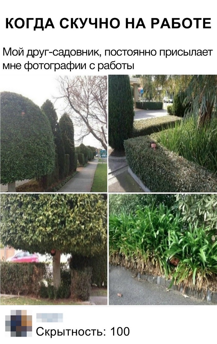 Новые мемы и скриншоты из социальных сетей (35 фото)