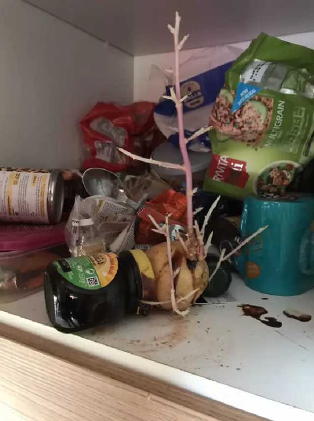 Убил бы! 30 людей, которые осознали, что живут с монстром (31 фото) Убил бы! 30 людей, которые осознали, что живут с монстром (31 фото)