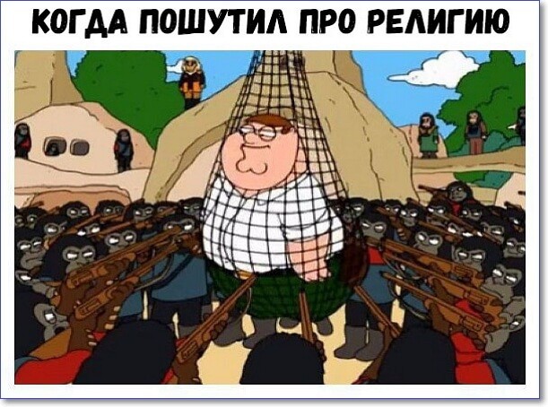 Смешные фото