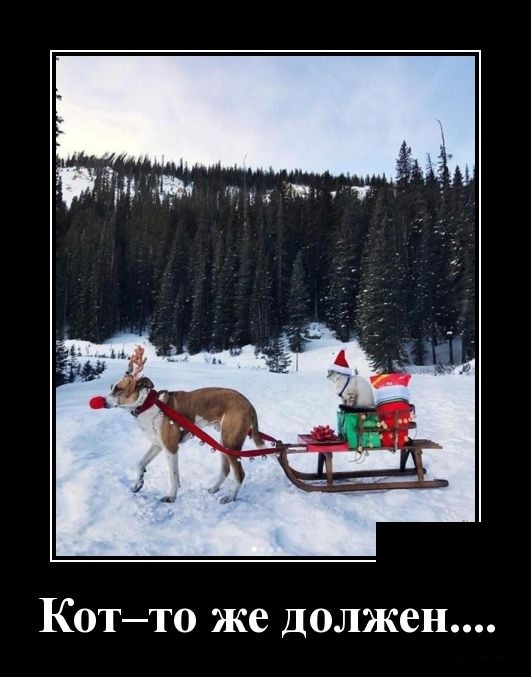 Свежие демотиваторы на праздники Свежие демотиваторы на праздники