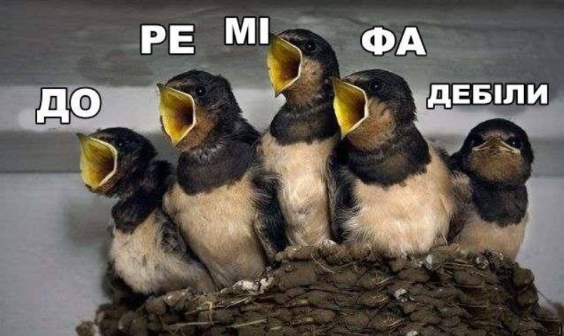 Прикольные картинки