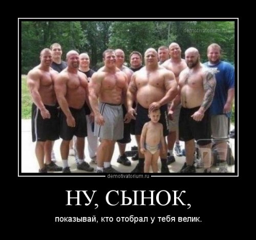 Прикольные картинки демотиваторы Прикольные картинки демотиваторы
