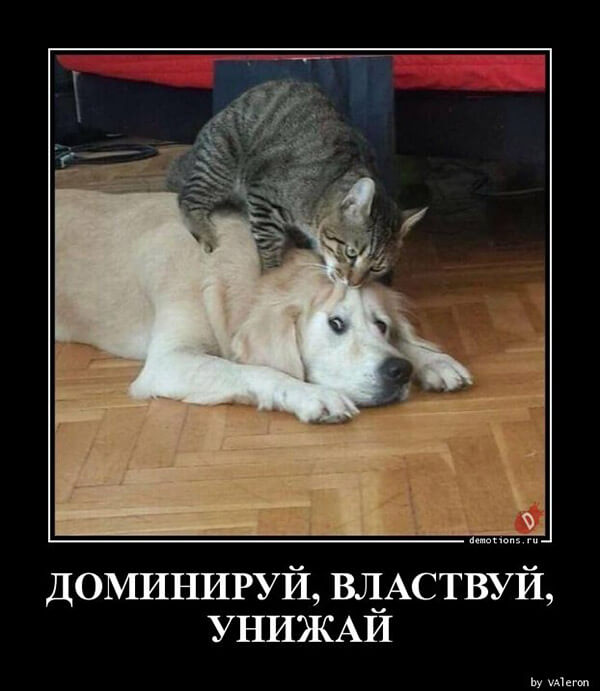 Демотиваторы для всех (15 штук) Демотиваторы для всех (15 штук)