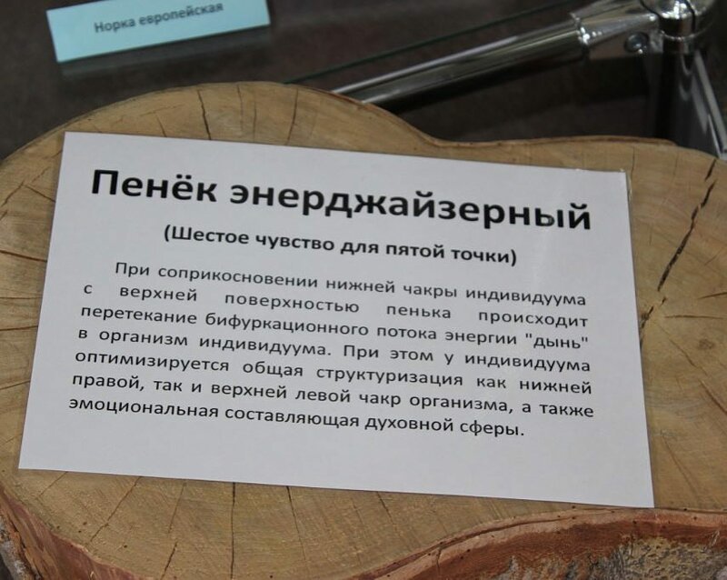 Пень энерджайзерный, или 20 оригинальных товаров от богов отечественного маркетинга (22 фото) Пень энерджайзерный, или 20 оригинальных товаров от богов отечественного маркетинга (22 фото)