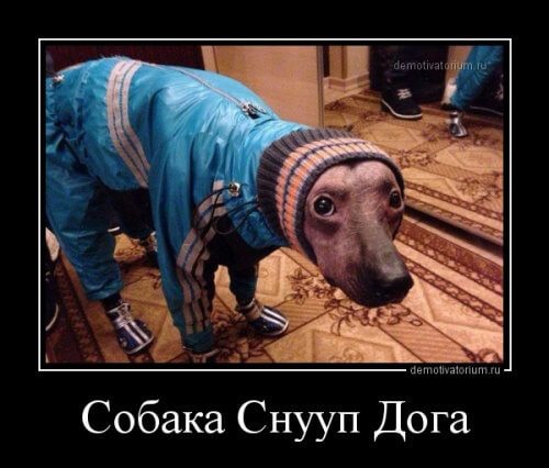 Прикольные демотиваторы (20 штук)