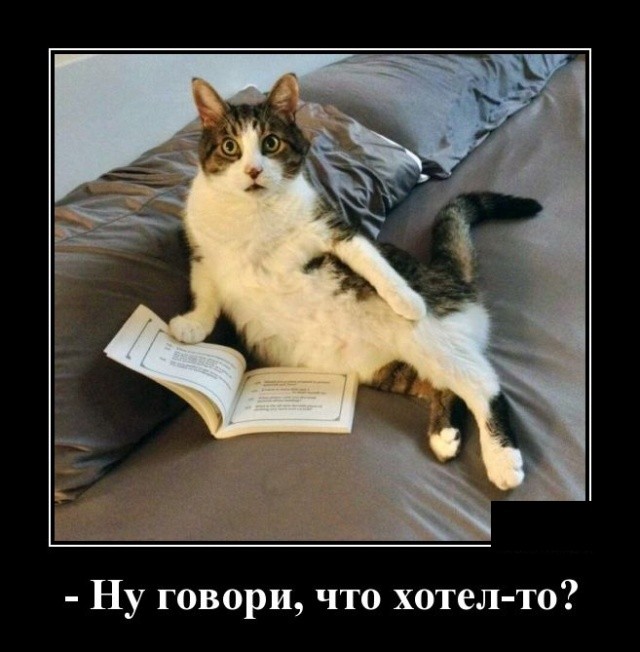 Демотиваторы мая 2019 года Демотиваторы мая 2019 года