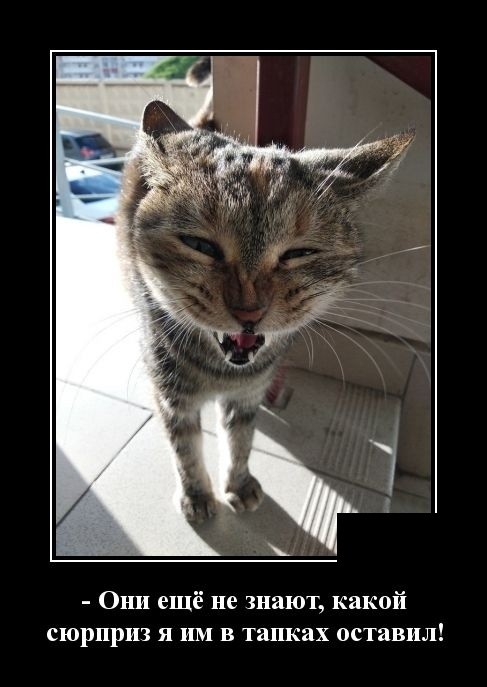 Свежие демотиваторы мая 2019 (30 демок)