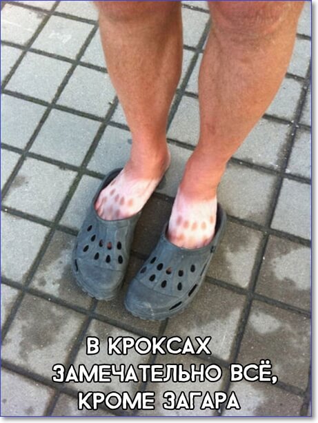 Смешные фото