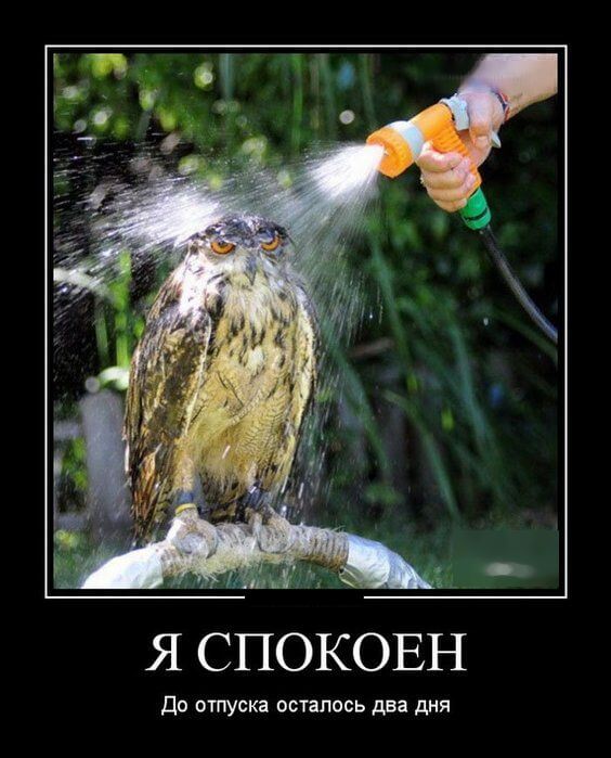 Прикольные демотиваторы (20 штук)