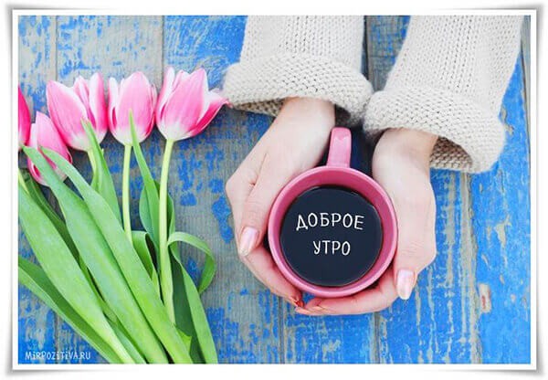 Картинки пожелания с добрым утром и хорошего дня (30 штук) Картинки пожелания с добрым утром и хорошего дня (30 штук)