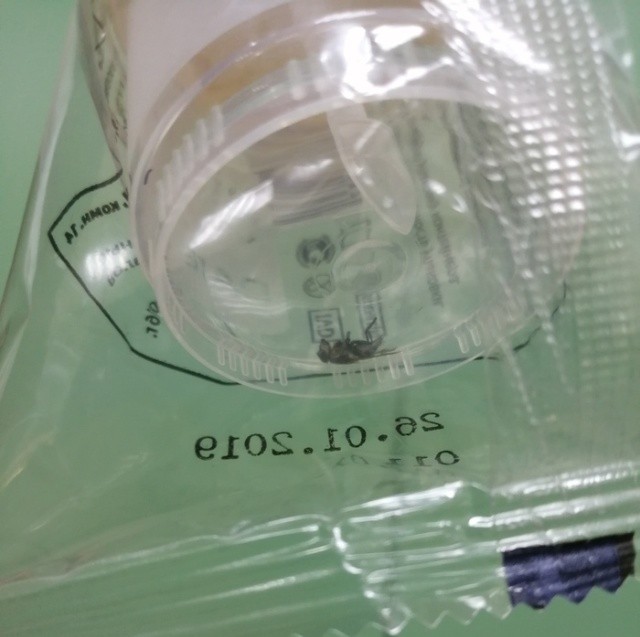 Контейнер для биоматериала с "бонусом" (4 фото)