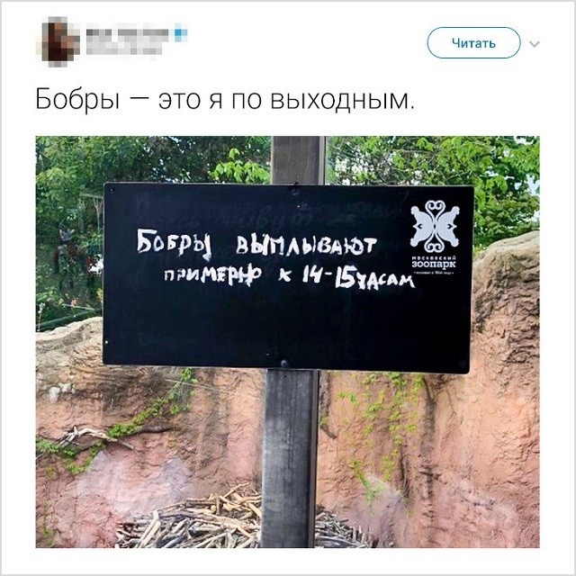 "Не сделал ничего, значит не сделал плохо!". Народно-интернетные изречения о лени (20 скриншотов)