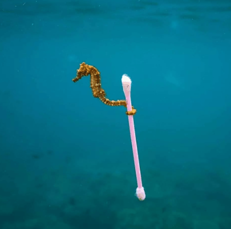 Доказательства того, что человек не заслужил нашу Планету (16 фото)