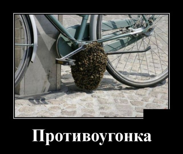 Новые демотиваторы 11 мая 2019 (22 фото)