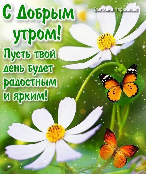 Картинки пожелания с добрым утром и хорошего дня (30 штук) Картинки пожелания с добрым утром и хорошего дня (30 штук)